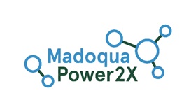 Madoqua nwl