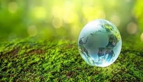 globodescarb nwl