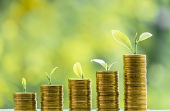 green money nwl