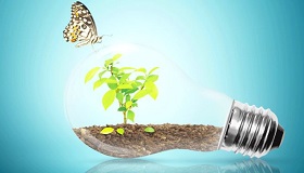 sustentabilidade nwl